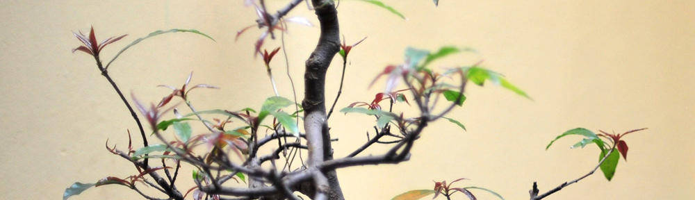 ASEAN Studies Center Universitas Gadjah Mada